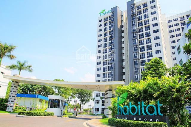 Dự án 3